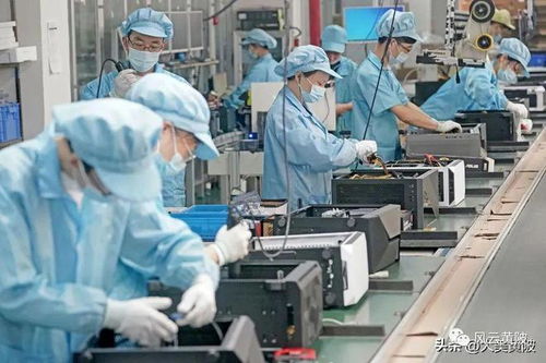 逆勢上揚 黃陂傳統行業轉型，軟件開發助力企業躍居全球第一